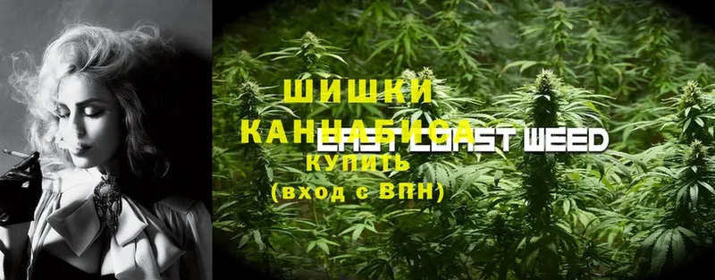 купить   блэк спрут ссылки  Шишки марихуана SATIVA & INDICA  Дорогобуж 